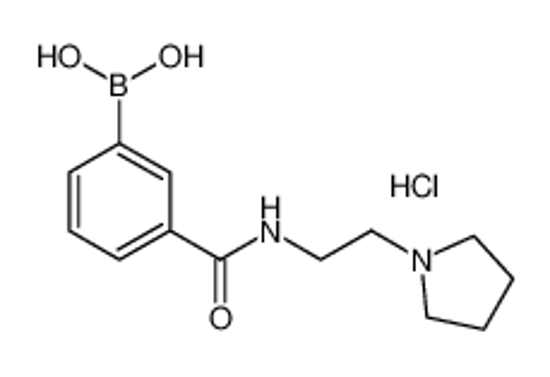 Picture of (3-((2-(Pyrrolidin-1-yl)ethyl)carbamoyl)phenyl)boronic acid hydrochloride