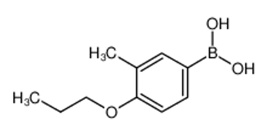 Imagem de (3-methyl-4-propoxyphenyl)boronic acid