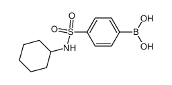 Imagem de [4-(cyclohexylsulfamoyl)phenyl]boronic acid