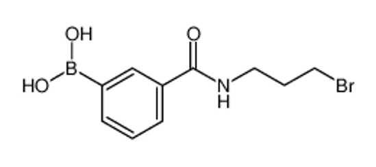 Picture of [3-(3-bromopropylcarbamoyl)phenyl]boronic acid