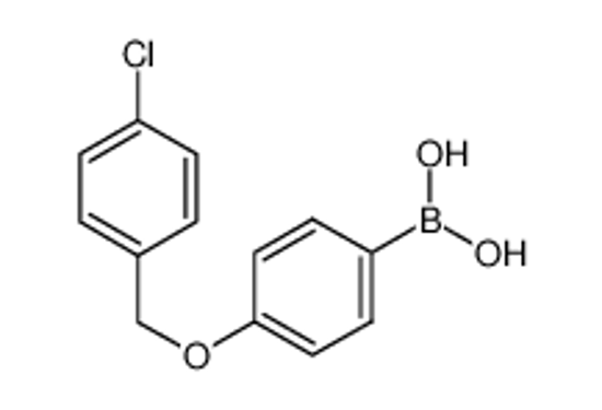 Picture of [4-[(4-chlorophenyl)methoxy]phenyl]boronic acid