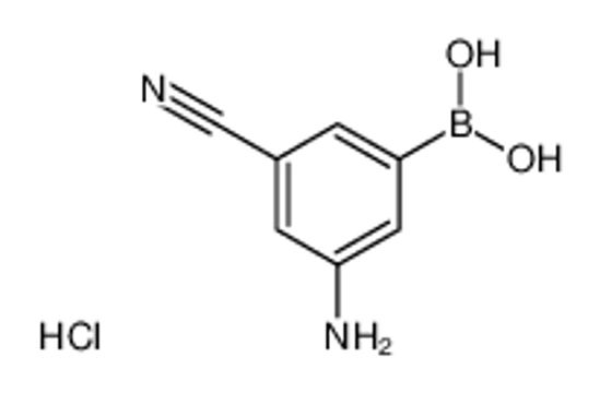 Picture of (3-amino-5-cyanophenyl)boronic acid,hydrochloride