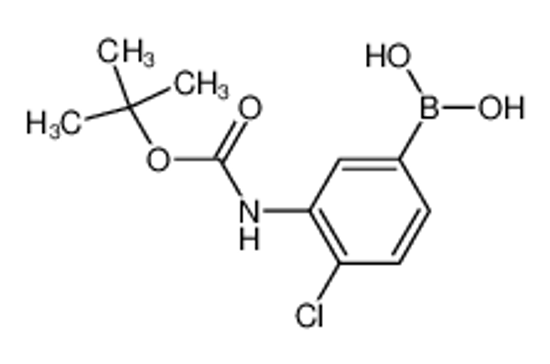 Picture of [4-chloro-3-[(2-methylpropan-2-yl)oxycarbonylamino]phenyl]boronic acid