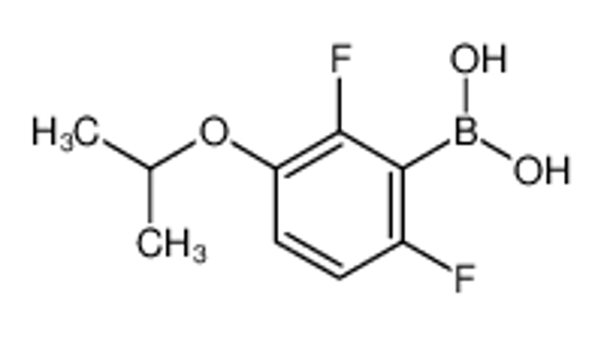 Picture of 2,6-Difluoro-3-isopropoxyphenylboronic acid