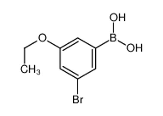 Picture of (3-bromo-5-ethoxyphenyl)boronic acid