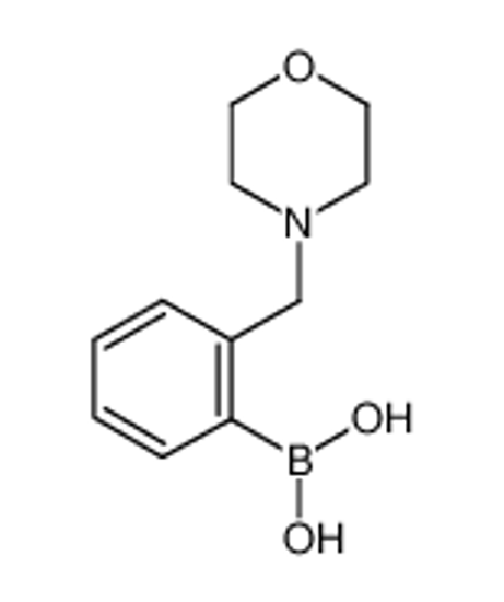 Picture of [2-(morpholin-4-ylmethyl)phenyl]boronic acid