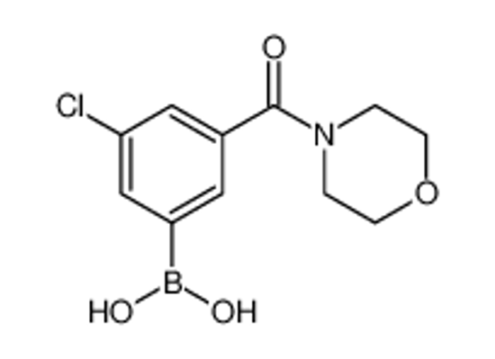 Picture of (3-Chloro-5-(morpholine-4-carbonyl)phenyl)boronic acid