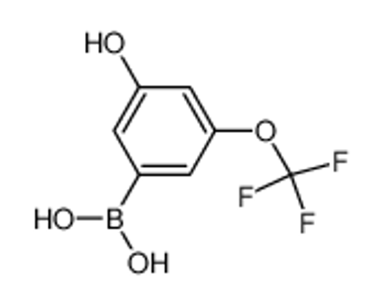 Picture of [3-hydroxy-5-(trifluoromethoxy)phenyl]boronic acid