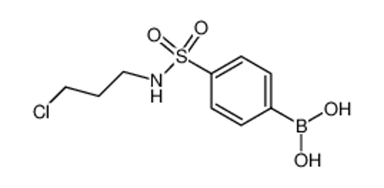 Picture of (4-(N-(3-Chloropropyl)sulfamoyl)phenyl)boronic acid