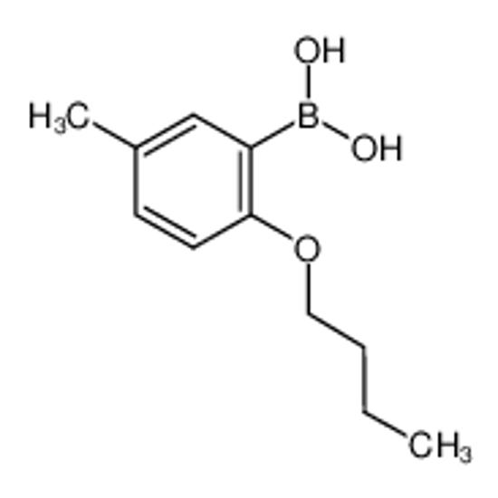 Picture of (2-butoxy-5-methylphenyl)boronic acid
