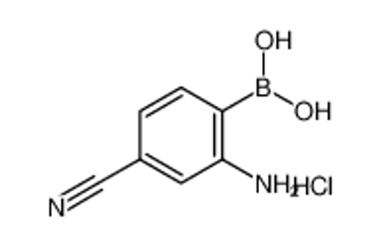 Picture of (2-amino-4-cyanophenyl)boronic acid,hydrochloride
