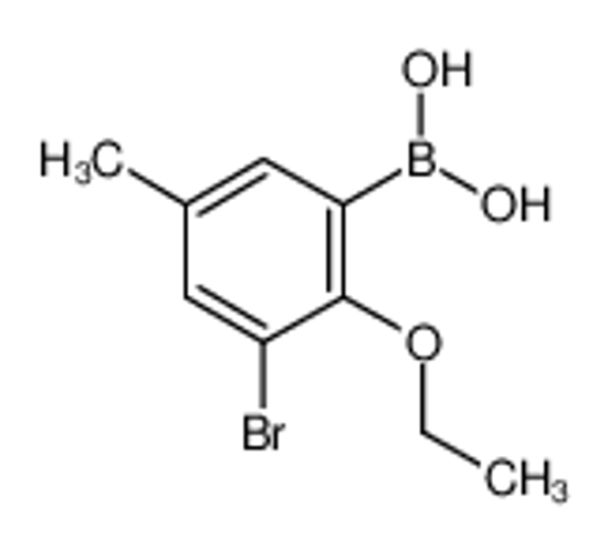 Изображение (3-bromo-2-ethoxy-5-methylphenyl)boronic acid