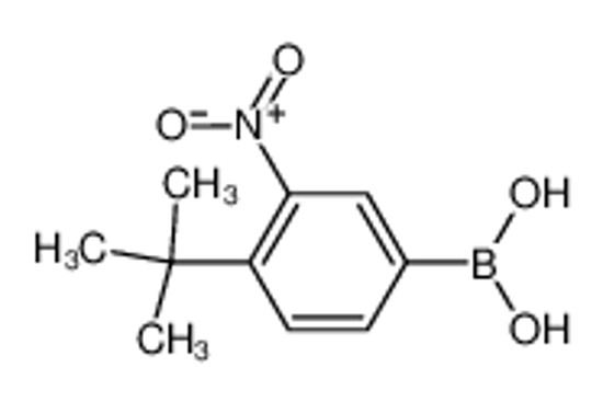 Picture of 4-tert-Butyl-3-nitrophenylboronic acid