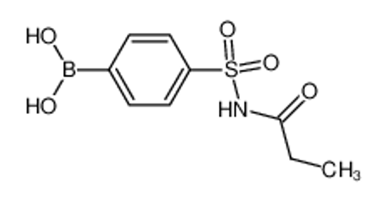 Picture of (4-(N-Propionylsulfamoyl)phenyl)boronic acid