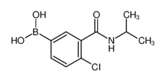 Picture of 4-Chloro-3-(Isopropylcarbamoyl)Phenylboronic Acid