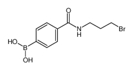 Picture of [4-(3-bromopropylcarbamoyl)phenyl]boronic acid