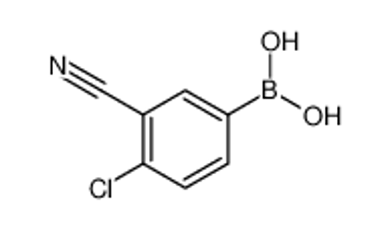 Picture of 4-Chloro-3-cyanophenylboronic acid