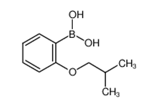 Picture of [2-(2-methylpropoxy)phenyl]boronic acid