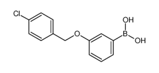 Picture of [3-[(4-chlorophenyl)methoxy]phenyl]boronic acid