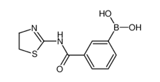 Picture of (3-((4,5-Dihydrothiazol-2-yl)carbamoyl)phenyl)boronic acid