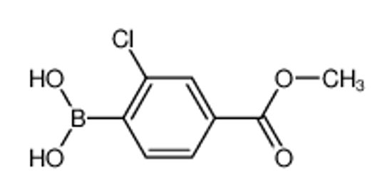 Picture of 2-Chloro-4-(Methoxycarbonyl)Benzeneboronic Acid