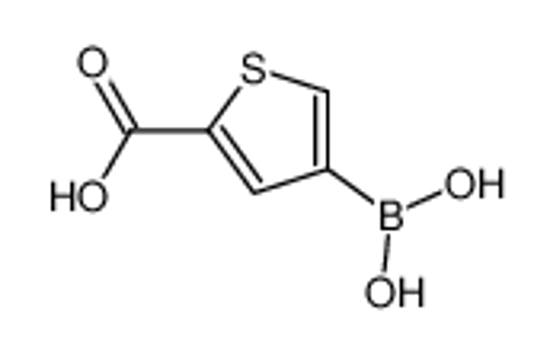 Picture of 4-Boronothiophene-2-carboxylic acid