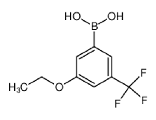 Picture of [3-ethoxy-5-(trifluoromethyl)phenyl]boronic acid