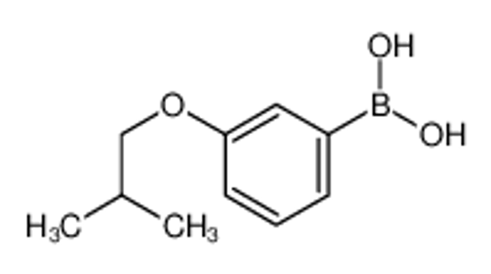 Picture of [3-(2-methylpropoxy)phenyl]boronic acid