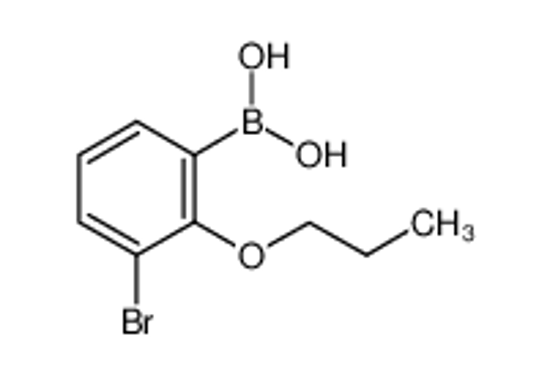 Picture of (3-bromo-2-propoxyphenyl)boronic acid