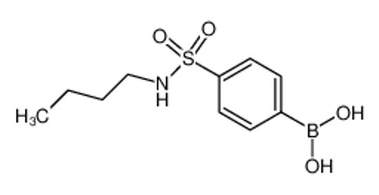 Picture of [4-(butylsulfamoyl)phenyl]boronic acid