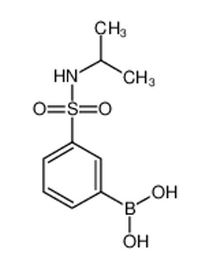 Изображение [3-(propan-2-ylsulfamoyl)phenyl]boronic acid