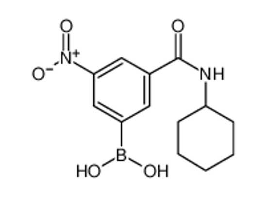 Picture of [3-(cyclohexylcarbamoyl)-5-nitrophenyl]boronic acid
