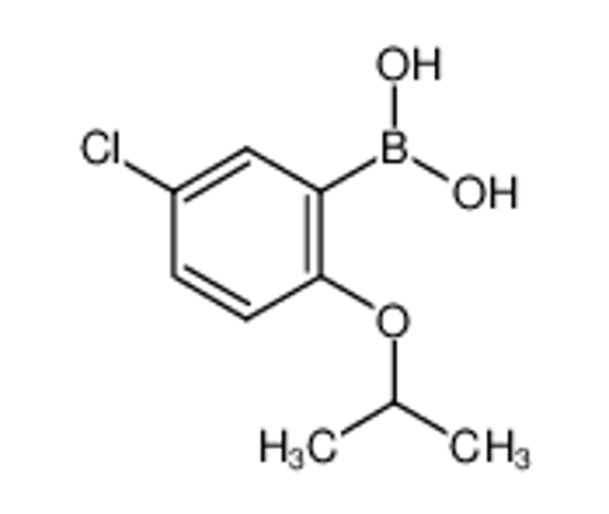 Picture of (5-chloro-2-propan-2-yloxyphenyl)boronic acid