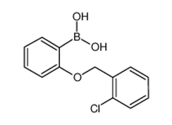 Picture of [2-[(2-chlorophenyl)methoxy]phenyl]boronic acid