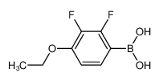 Picture of (4-ethoxy-2,3-difluorophenyl)boronic acid