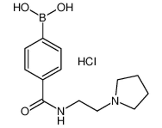 Picture of [4-(2-pyrrolidin-1-ylethylcarbamoyl)phenyl]boronic acid,hydrochloride