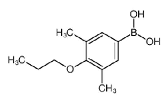 Изображение (3,5-dimethyl-4-propoxyphenyl)boronic acid