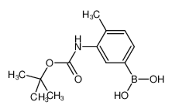 Picture of (3-BOC-AMINO-4-METHYLPHENYL)BORONIC ACID