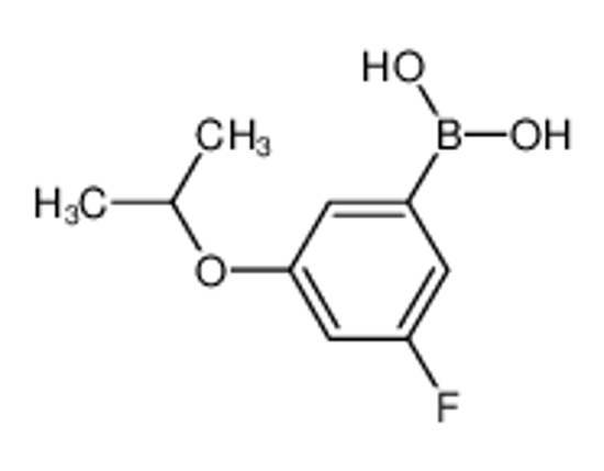 Picture of 3-Fluoro-5-isopropoxyphenylboronic acid