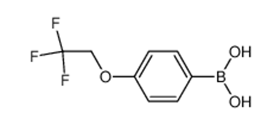 Picture of [4-(2,2,2-trifluoroethoxy)phenyl]boronic acid