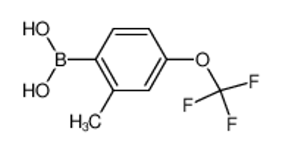Imagem de [2-methyl-4-(trifluoromethoxy)phenyl]boronic acid