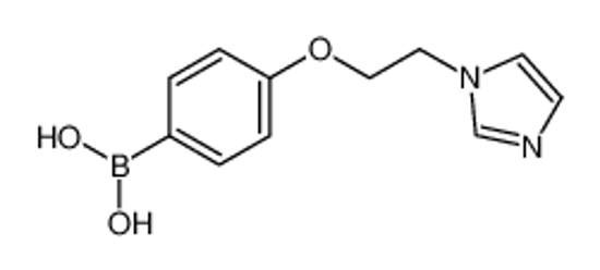 Picture of (4-(2-(1H-Imidazol-1-yl)ethoxy)phenyl)boronic acid