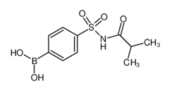 Picture of [4-(2-methylpropanoylsulfamoyl)phenyl]boronic acid