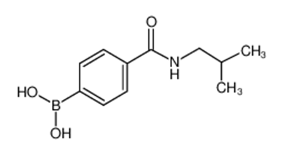 Picture of (4-(Isobutylcarbamoyl)phenyl)boronic acid