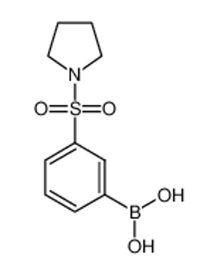 Picture of (3-pyrrolidin-1-ylsulfonylphenyl)boronic acid