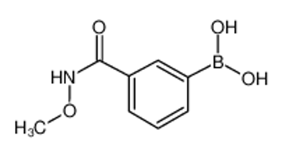 Picture of (3-(Methoxycarbamoyl)phenyl)boronic acid