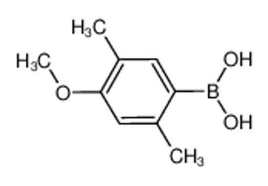 Picture of (4-methoxy-2,5-dimethylphenyl)boronic acid