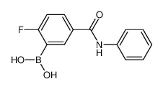 Picture of [2-fluoro-5-(phenylcarbamoyl)phenyl]boronic acid