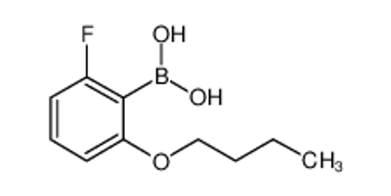 Picture of (2-butoxy-6-fluorophenyl)boronic acid