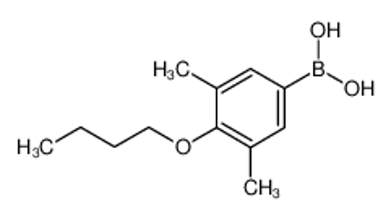 Picture of 4-Butoxy-3,5-dimethylphenylboronic acid